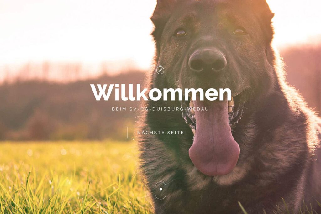 Index SV-OG-Duisburg-Wedau e.V. Webseite