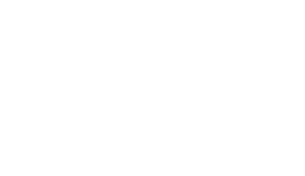 Logo BVW Betonsteinwerke