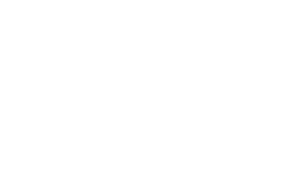 Logo Christian Nienhaus